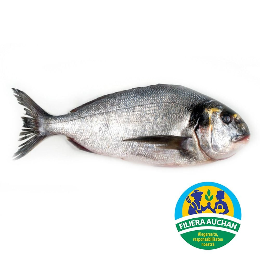 Auchan B2B | Dorada File Filiera 100/140 | Kg